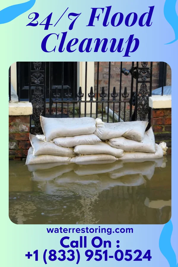 24/7 Flood Cleanup in Pioneer, OH