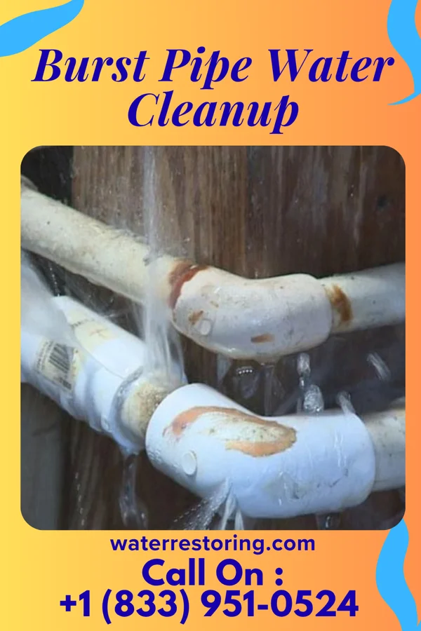 Burst Pipe Water Cleanup in Pioneer, OH