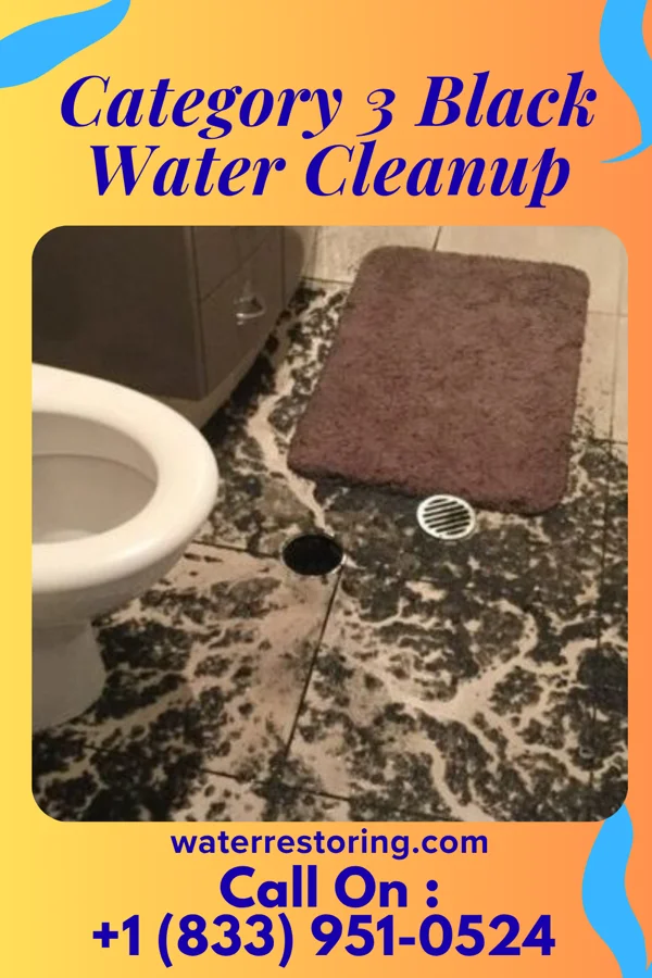 Category 3 Black Water Cleanup in Pioneer, OH