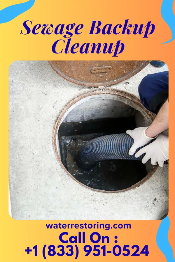 Sewage Backup Cleanup in Pioneer, OH