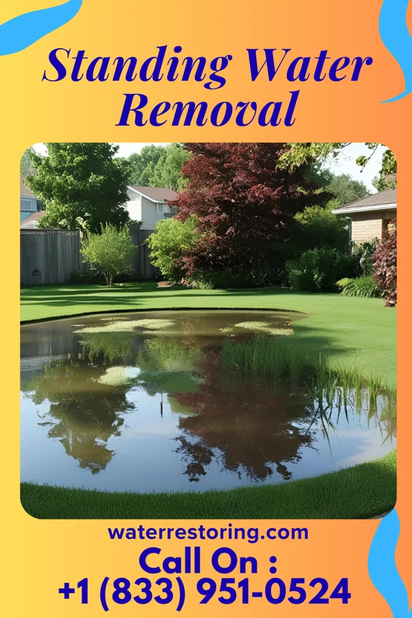 Standing Water Removal in Pioneer, OH